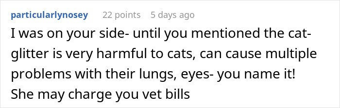 Comment discussing potential harm of glitter to cats, warning about lung and eye problems and vet bills risk. Comment discussing potential harm of glitter to cats, warning about lung and eye problems and vet bills risk.