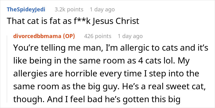 Screenshot of an online conversation about a severely overweight cat and its owner's reaction to the cat's condition. Screenshot of an online conversation about a severely overweight cat and its owner's reaction to the cat's condition.