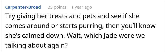 Screenshot of an online comment discussing pets and calming a cat amidst a partner disagreement about renaming the cat. Screenshot of an online comment discussing pets and calming a cat amidst a partner disagreement about renaming the cat.