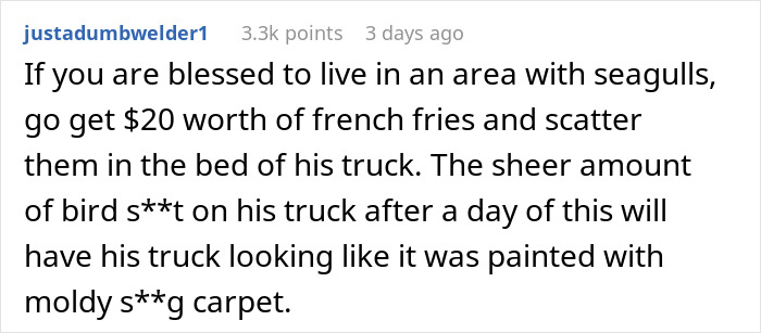 Text comment describing petty revenge on a truck blocking a driveway, involving seagulls and bird droppings as retaliation. Text comment describing petty revenge on a truck blocking a driveway, involving seagulls and bird droppings as retaliation.