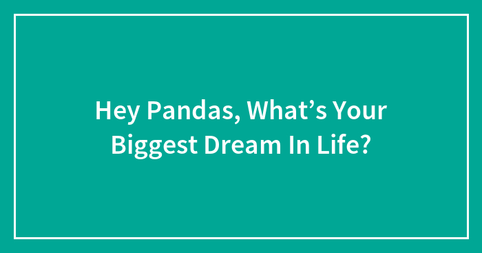 Hey Pandas, What’s Your Biggest Dream In Life? (Closed)