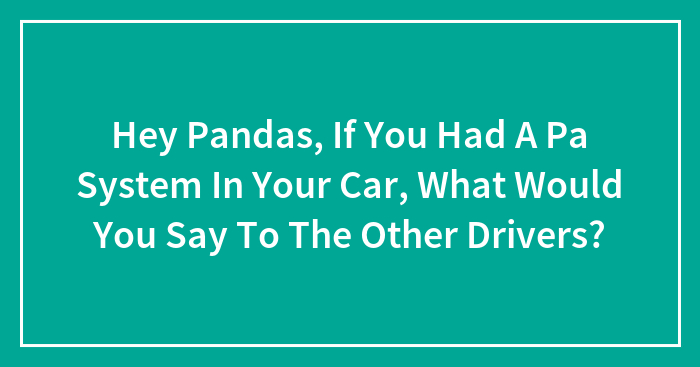 Hey Pandas, If You Had A Pa System In Your Car, What Message Would You Shout To Other Drivers? (Closed)