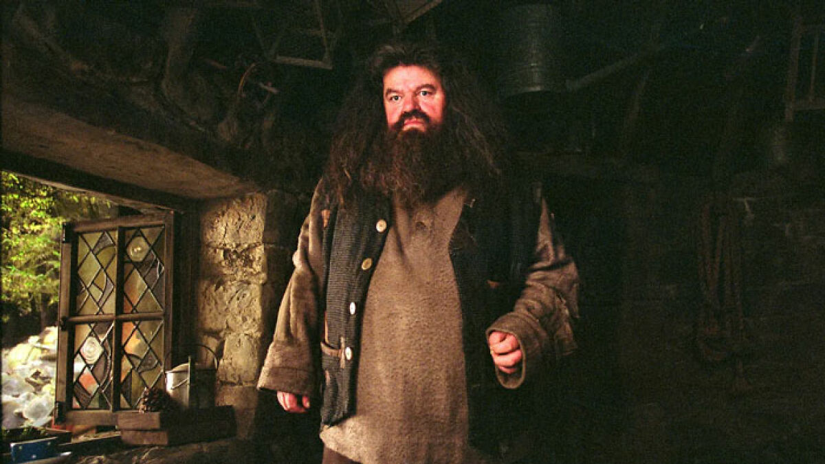 Hagrid standing inside a rustic stone cottage with a disheveled beard and worn clothing in a Harry Potter series scene.