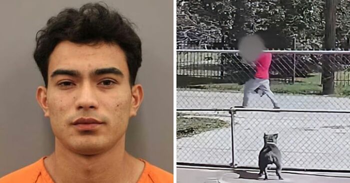 Horrifying Footage Captures Screaming Trafficking Victim Being Dragged To Captivity After Escaping