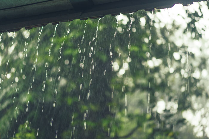 Rain falling silently from a roof during a green forest background showing surprisingly silent things for deaf people.