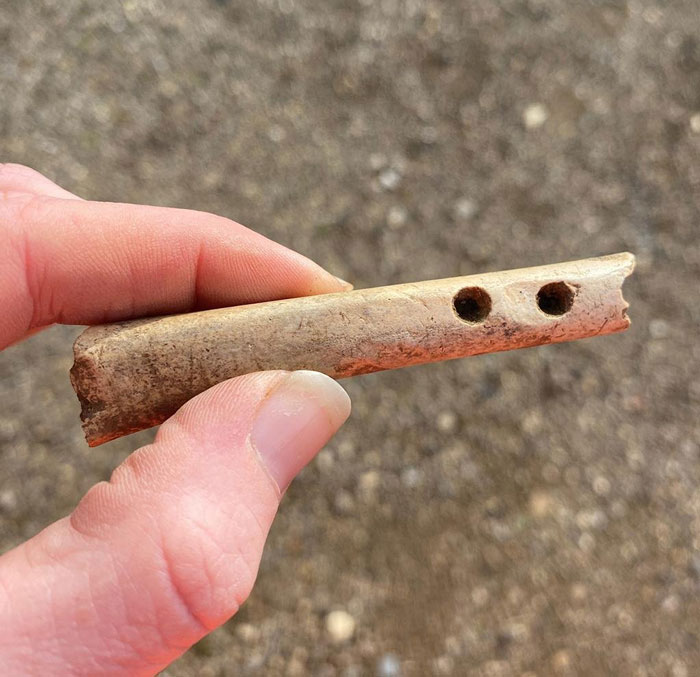 Hand holding an ancient bone artifact with holes, a major historical finding from the Roman Empire and Iron Age. Hand holding an ancient bone artifact with holes, a major historical finding from the Roman Empire and Iron Age.