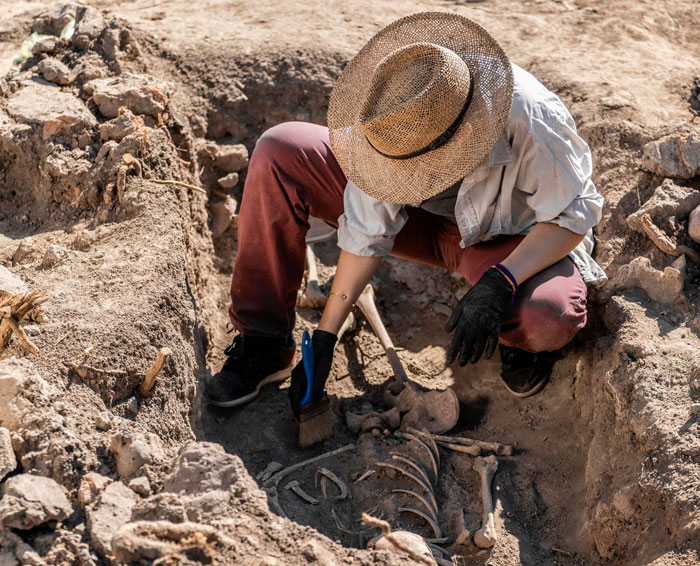Archaeologist uncovering Roman Empire and Iron Age skeletons during highway construction excavation site. Archaeologist uncovering Roman Empire and Iron Age skeletons during highway construction excavation site.