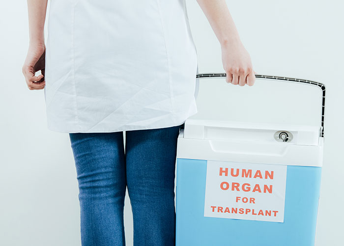 Medical professional holding a cooler labeled human organ for transplant, symbolizing organ donation refusal conflict. Medical professional holding a cooler labeled human organ for transplant, symbolizing organ donation refusal conflict.