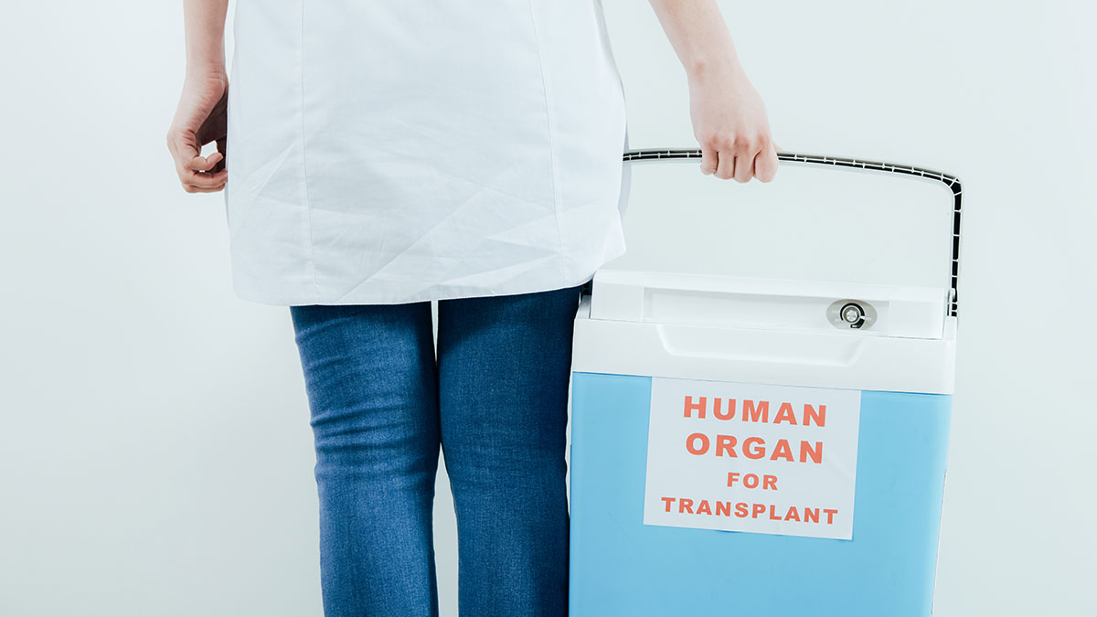 Person holding a cooler labeled human organ for transplant representing organ donation refusal and childhood struggles.