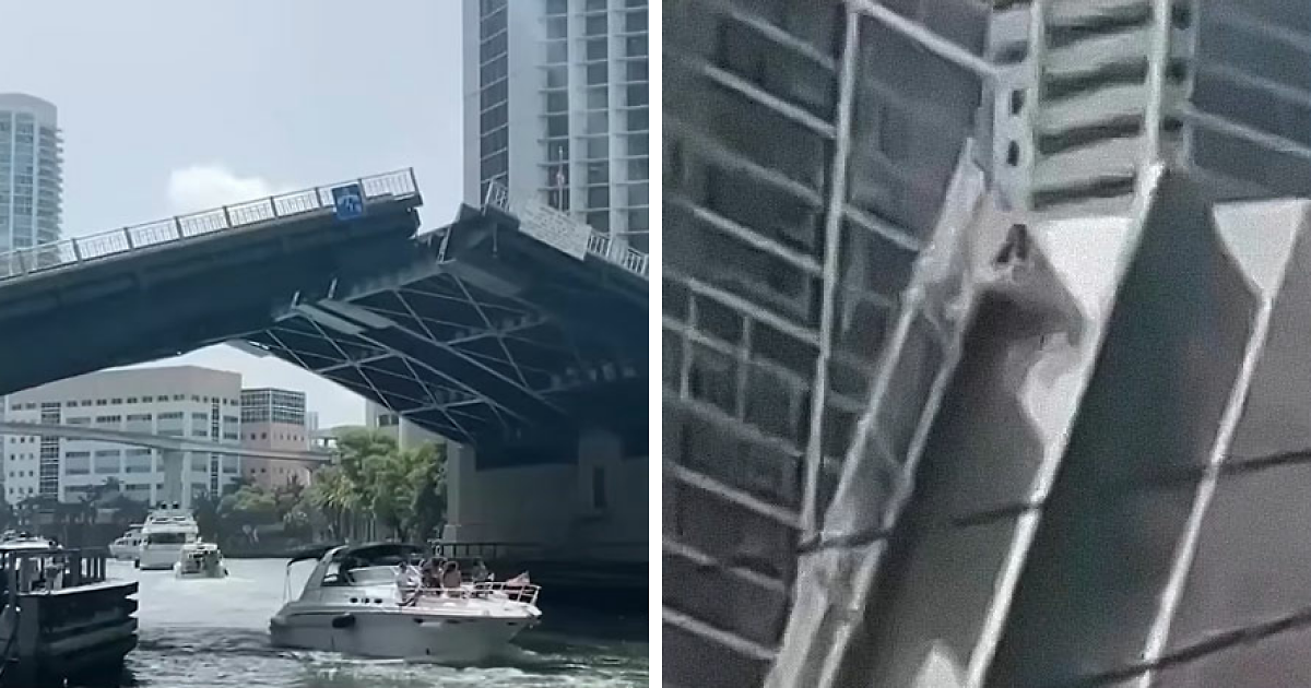 Woman Survives After “Holding On For Dear Life” To Rising Drawbridge