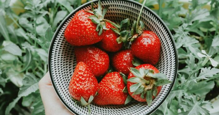 Hand holding a bowl of fresh strawberries, a popular go-to summer treat surrounded by green leaves outdoors.
