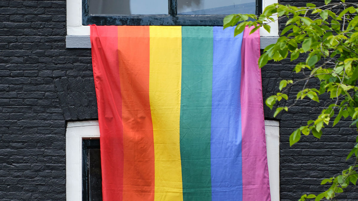 Rainbow LGBTQ+ flag hanging from a window on a black brick building, representing LGBTQ+ memes and pride.