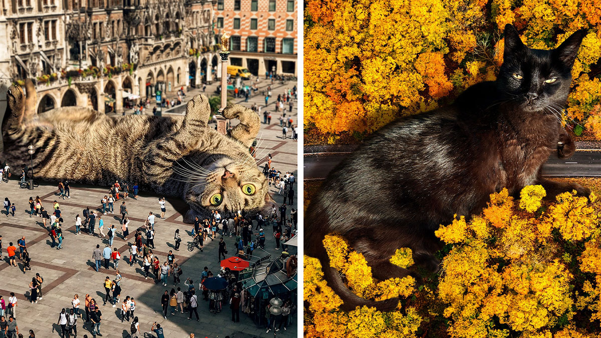 Giant cats in surreal parallel universe, one lounging in city square, another resting among autumn yellow trees.