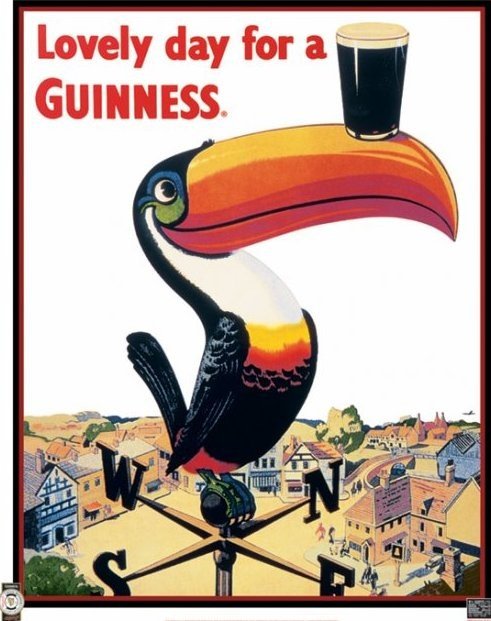 guinness-toucan-i9039.jpg