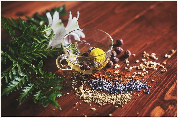 Clear glass cup with herbal tea surrounded by dried herbs and flowers on a wooden surface, illustrating bizarre beliefs.