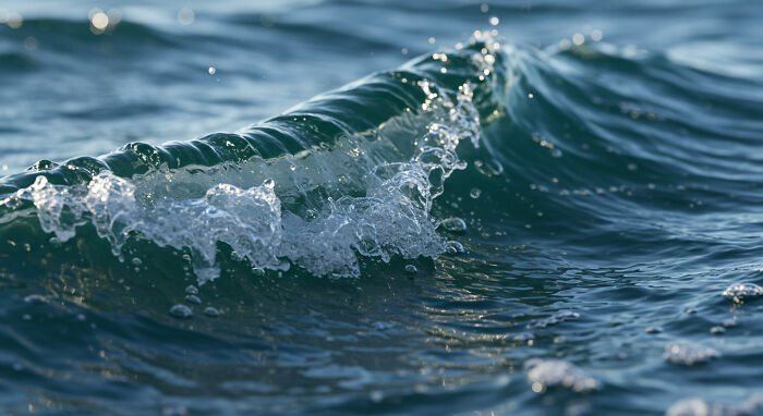 I Captured The Hidden Details Of Nature’s Smallest Gems