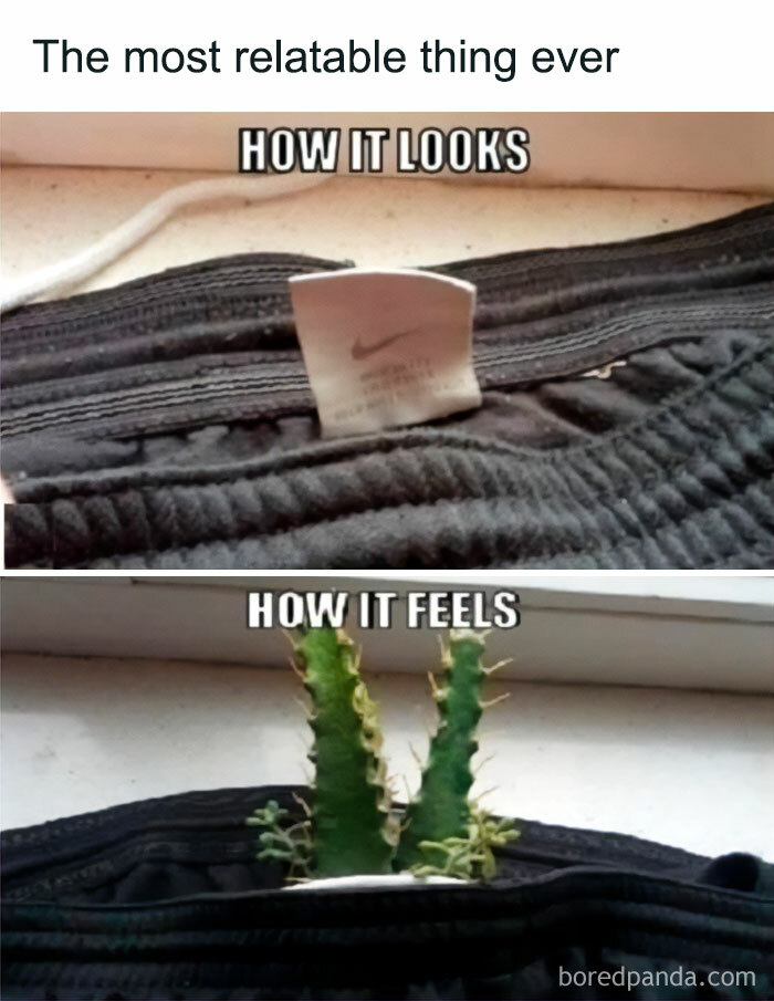 Close-up of a clothing tag on black fabric showing how chaotic memes compare appearance to painful feelings like cactus spikes.