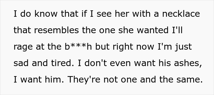 Text showing emotional reaction to grandmother stealing grandson’s ashes, highlighting family drama and conflict over ashes.