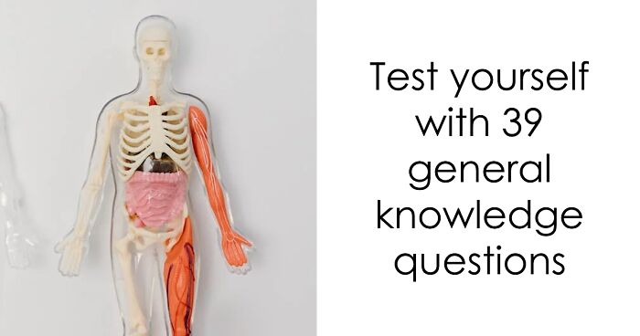 “Think You Are Smarter Than The Crowd?”: Tackle These 39 True-Or-False Questions