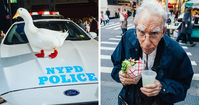 A white duck wearing red boots stands on an NYPD police car and an elderly man eats a sandwich on a busy NYC street.