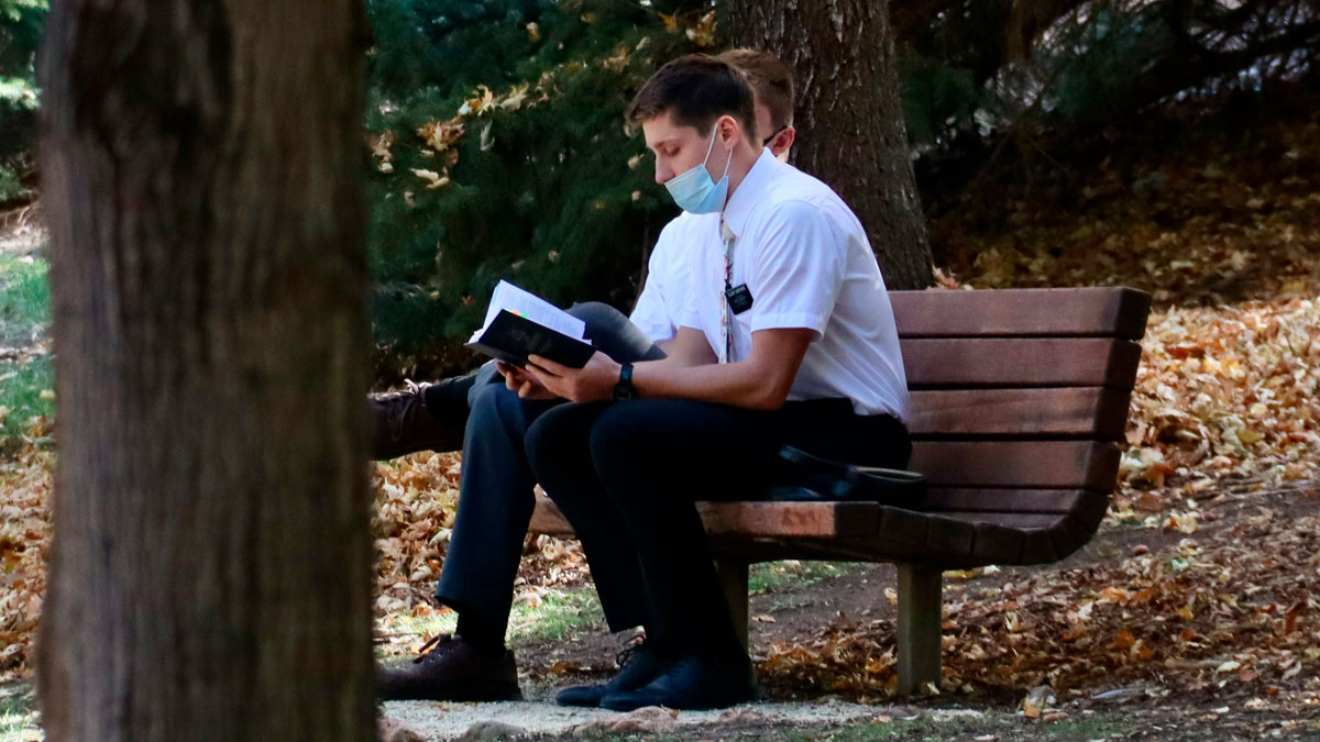 Young men wearing masks sitting on a park bench reading, reflecting on ignored gut feelings and deep regret.
