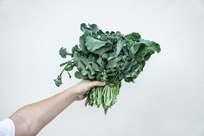 Hand holding a bunch of leafy greens symbolizing the global food waste crisis impacting the environment and economy.