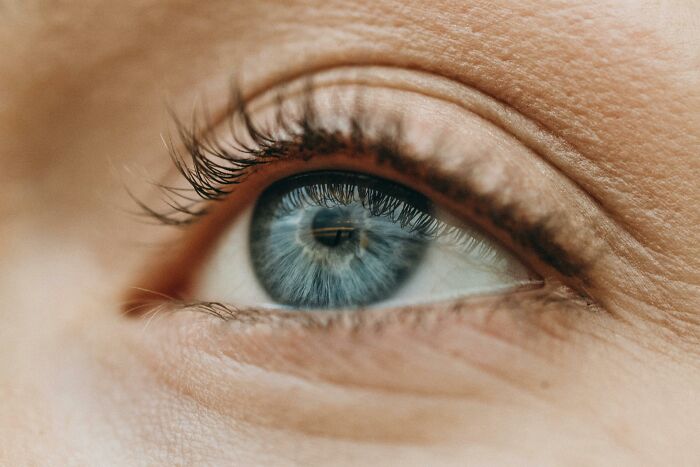 Close-up of a blue eye with detailed eyelashes and skin texture, representing scientists sharing use of bodies donated science.