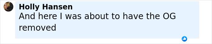 Comment from Holly Hansen mentioning almost having the OG tramp stamp tattoo removed in a social media post. Comment from Holly Hansen mentioning almost having the OG tramp stamp tattoo removed in a social media post.