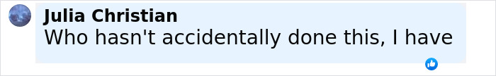 Comment by Julia Christian saying who hasn't accidentally done this, with a like icon below, related to Robert Irwin dining and dashing incident. Comment by Julia Christian saying who hasn't accidentally done this, with a like icon below, related to Robert Irwin dining and dashing incident.