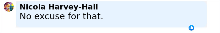 Comment from Nicola Harvey-Hall saying no excuse for that with a blue thumbs-up reaction icon visible. Comment from Nicola Harvey-Hall saying no excuse for that with a blue thumbs-up reaction icon visible.