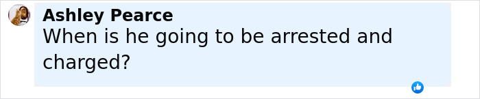 Comment from Ashley Pearce questioning when Robert Irwin will be arrested and charged after dining and dashing in Australia. Comment from Ashley Pearce questioning when Robert Irwin will be arrested and charged after dining and dashing in Australia.