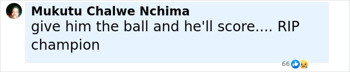 World Stunned After Football Star Diogo Jota, 28, Passes Away 2 Weeks After Getting Married World Stunned After Football Star Diogo Jota, 28, Passes Away 2 Weeks After Getting Married