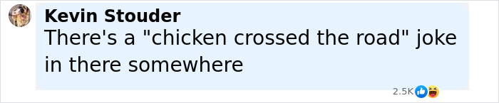 Comment about a chicken crossing the road joke, referencing Florida woman attacking driver over chicken incident. Comment about a chicken crossing the road joke, referencing Florida woman attacking driver over chicken incident.