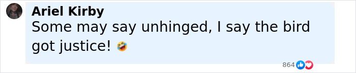 Comment on social media about Florida woman attacking driver after chicken is run over, saying the bird got justice. Comment on social media about Florida woman attacking driver after chicken is run over, saying the bird got justice.