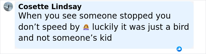 Comment by Cosette Lindsay reacting to a driver stopping for a bird instead of speeding past in a social media post. Comment by Cosette Lindsay reacting to a driver stopping for a bird instead of speeding past in a social media post.