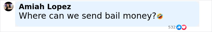 Comment by Amiah Lopez asking where to send bail money, with laughing emoji and 532 reactions. Comment by Amiah Lopez asking where to send bail money, with laughing emoji and 532 reactions.