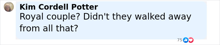 Comment about Meghan Markle and Prince Harry being called out in Family Guy episode, displayed with user profile picture and name. Comment about Meghan Markle and Prince Harry being called out in Family Guy episode, displayed with user profile picture and name.