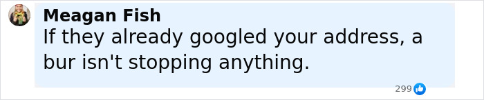 Comment highlighting skepticism about the effectiveness of blurring houses on Google Maps to protect addresses. Comment highlighting skepticism about the effectiveness of blurring houses on Google Maps to protect addresses.