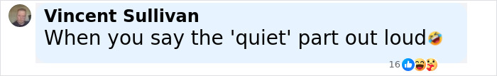 Screenshot of a Facebook comment by Vincent Sullivan reacting to Billie Eilish's controversial Ireland show remark. Screenshot of a Facebook comment by Vincent Sullivan reacting to Billie Eilish's controversial Ireland show remark.