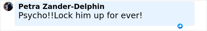 Comment from Petra Zander-Delphin expressing anger and demanding life imprisonment for a man involved in a family slaying case. Comment from Petra Zander-Delphin expressing anger and demanding life imprisonment for a man involved in a family slaying case.