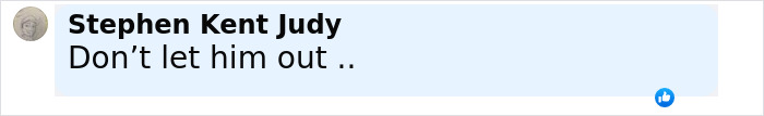 Screenshot of a comment saying “Don’t let him out” related to a man slaying his family and dog before getting caught. Screenshot of a comment saying “Don’t let him out” related to a man slaying his family and dog before getting caught.