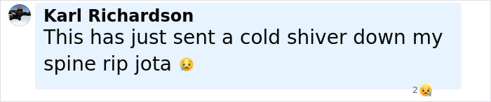 World Stunned After Football Star Diogo Jota, 28, Passes Away 2 Weeks After Getting Married World Stunned After Football Star Diogo Jota, 28, Passes Away 2 Weeks After Getting Married