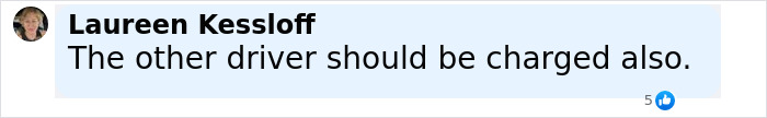Comment by Laureen Kessloff reading The other driver should be charged also, responding to Florida woman attacks driver chicken incident. Comment by Laureen Kessloff reading The other driver should be charged also, responding to Florida woman attacks driver chicken incident.