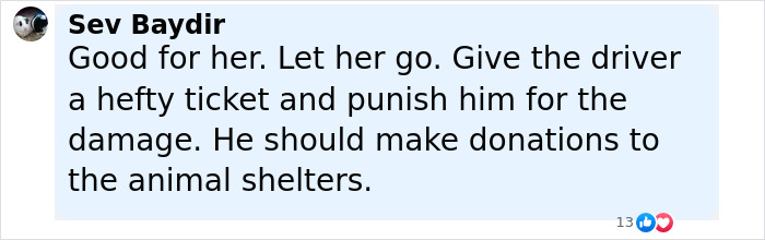 Comment supporting Florida woman who attacked driver after chicken was run over, calling for driver punishment and donations. Comment supporting Florida woman who attacked driver after chicken was run over, calling for driver punishment and donations.