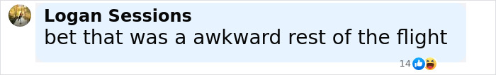 Screenshot of a social media comment reacting to a passenger sparking a scare on a flight causing an emergency landing. Screenshot of a social media comment reacting to a passenger sparking a scare on a flight causing an emergency landing.
