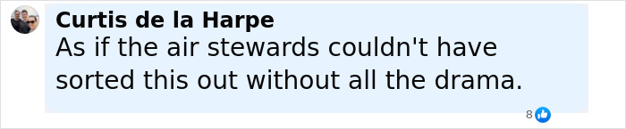 Comment from Curtis de la Harpe expressing frustration over air stewards and drama during passenger scare on flight. Comment from Curtis de la Harpe expressing frustration over air stewards and drama during passenger scare on flight.