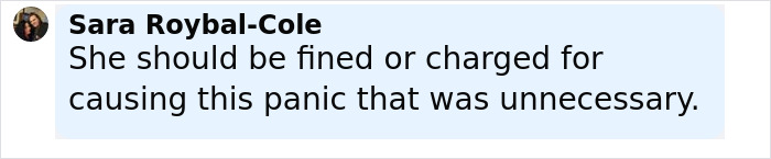 Comment by Sara Roybal-Cole criticizing a passenger who sparked a scare on a flight causing an emergency landing. Comment by Sara Roybal-Cole criticizing a passenger who sparked a scare on a flight causing an emergency landing.