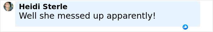 Comment by Heidi Sterle saying well she messed up apparently with a like reaction, related to Coldplay cheating scandal HR executive. Comment by Heidi Sterle saying well she messed up apparently with a like reaction, related to Coldplay cheating scandal HR executive.