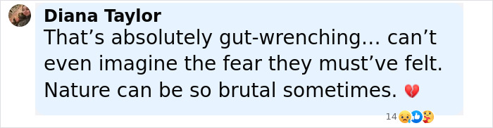 Comment expressing gut-wrenching feelings and imagining the fear experienced by young flood victims. Comment expressing gut-wrenching feelings and imagining the fear experienced by young flood victims.