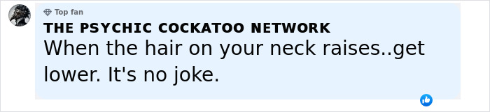 Comment about a psychic cockatoo network warning about a serious situation causing hair to raise on the neck. Comment about a psychic cockatoo network warning about a serious situation causing hair to raise on the neck.